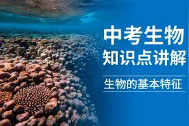 中考生物知识点讲解，怎样判断是否是生物？判断的依据有哪些？