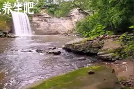 森林中小溪流水的白噪声，配上美丽的钢琴音乐，陪您入睡视频封面