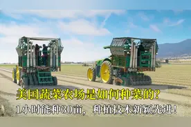 美国蔬菜农场是如何种菜的？1小时能种30亩，种植技术新颖先进！