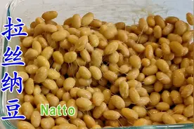 纳豆做法很简单 不用买纳豆菌 在家就能做拉丝纳豆