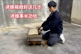 想要一个诱蜂基地，只需做好这几个步骤，就离成功诱蜂百分之90了