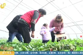 建设温室大棚、电商产业园，山东推动脱贫攻坚与乡村振兴有效衔接视频封面