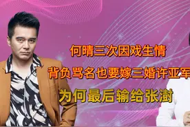 何晴与刘威同居五年，背负骂名也要嫁三婚许亚军，为何输给了张澍视频封面