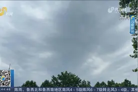 山东发布雷雨大风、雷电黄色预警，13-15日大部地区有雷雨或阵雨视频封面