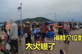 三亚也能吃到个位数的海鲜，生蚝两块钱一个太便宜了，自驾游34集视频封面