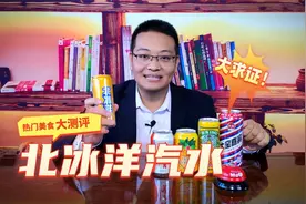 美食测评：北冰洋汽水，被封杀25年的北冰洋，味道怎么样？视频封面