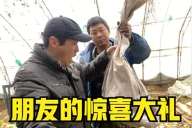 朋友送意外惊喜，小峰看到东西后乐坏了，这份大礼真不赖呀视频封面