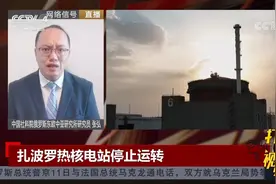 专家解读：为避免炮击引发核事故，俄方主动关停核电站|中国新闻