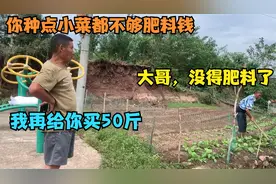 牛司令种点蔬菜没肥料了，大哥又给买50斤，种点小菜肥料钱都不够视频封面