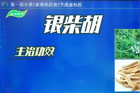 中药-银柴胡的主治功效【2022执业药师】@抖音视频封面