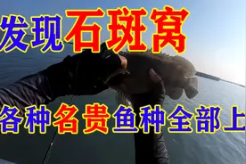 海钓发现石斑窝，赚大发！各种名贵鱼全部上钩！终于爽一把！视频封面