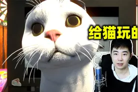 这游戏不是给人玩的，用猫的声音来玩游戏