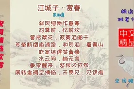 江城子·赏春 宋代 朱淑真 词写失恋的悲愁，充满心灵深处的哀鸣视频封面