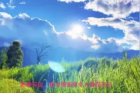 孤篇冠红全宋诗的绝句，短短28字，美的让人落泪视频封面