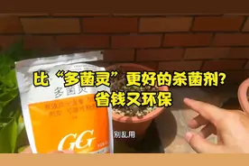 植物烂根怎么办？比“多菌灵”好的杀菌剂，教你这样用