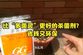 植物烂根怎么办？比“多菌灵”好的杀菌剂，教你这样用视频封面