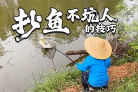 抄鱼不坑队友的三字诀，一分钟变成抄鱼小王子，抄鱼技巧教学视频封面