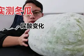五年痛风人实测老家带来的大冬瓜，看看它的尿酸变化视频封面
