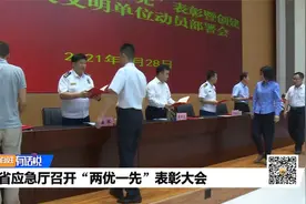 省应急厅召开“两优一先”表彰大会视频封面