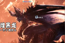 怪物猎人世界：冰原 天铭 48 黄昏黑星，煌黑龙！盾斧属性配装！视频封面