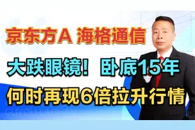 京东方A—海格通信，大跌眼镜！卧底15年，何时再现6倍行情？视频封面