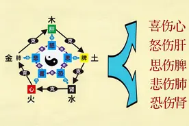 临床总结：为什么说喜伤心、怒伤肝、思伤脾、悲伤肺、恐伤肾？视频封面