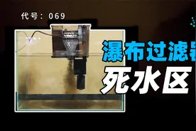 新手老鱼友都在用的瀑布过滤器有没有死水区、效果如果，一起揭秘视频封面