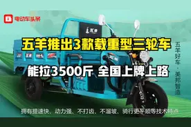 能拉3500斤，五羊推出3款载重型三轮车，全国上牌上路视频封面