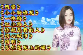 云菲菲《残雪》《小小新娘花》《一枝梅》《红尘路人》《情刺》等视频封面