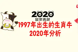 1997年出生的生肖牛2020年分析视频封面