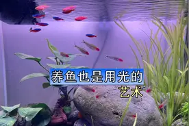 好马配好鞍，好缸配好灯，嗯，好像不太押韵啊。。。