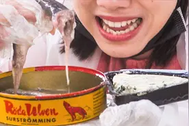 为什么鲱鱼罐头这么臭，还有人喜欢吃？视频封面