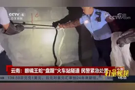 云南：眼镜王蛇“盘踞”火车站隧道，民警紧急处置|中国新闻视频封面