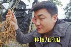 庭院果树怎么栽？掌握这五个步骤，棵棵都能生根发芽、开花结果视频封面