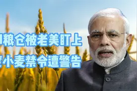中印粮仓被盯上？印度小麦禁令被警告，西方要求中国开仓放粮视频封面