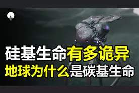 为何人类是碳基生命，而不是硅基生命？硅基生命究竟有多诡异？视频封面