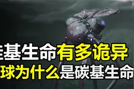 为何人类是碳基生命，而不是硅基生命？硅基生命究竟有多诡异？