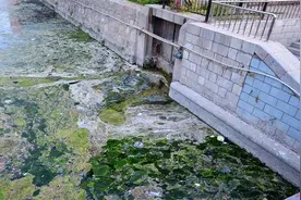 水源被污染，臭鸡蛋味黑水滚滚流入！广州街坊投诉：我们喝什么视频封面