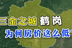 曾经辉煌的鹤岗，如今房价低至几万一套，人口却大量流失？视频封面