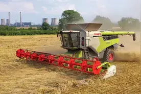 大面积倒伏也不算事，克拉斯8800半履带联合收割机收割大麦视频封面