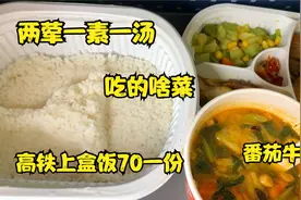 从西安坐高铁去湖南，车上盒饭两荤一素一汤70元，看看吃的啥视频封面