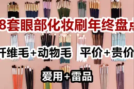 【18套眼部化妆刷年度红黑盘点】教你挑选！纤维毛+动物毛视频封面