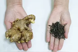 茶叶和生姜一起泡水喝，作用太厉害了，我也是才知道，长见识了视频封面