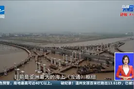 “巨无霸”跨海飞渡 杭甬复线宁波一期滨海高架桥架设完成视频封面