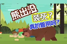 遇到熊就装死？其实没什么用