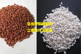 氯化钾和硫酸钾有什么不同，究竟用哪个好视频封面