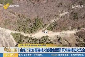 高森林火险橙色预警！山东各地多措并举，筑牢森林防火安全线视频封面