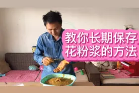 分享可以长期保存花粉浆不变质的方法，让你的蜜蜂繁殖更加好视频封面