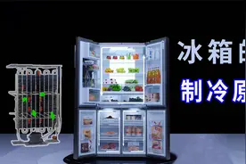 冰箱的制冷工作原理,透彻讲解,两分钟秒懂!视频封面