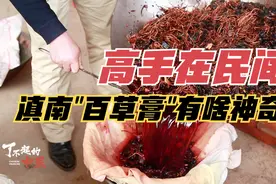 一位云南民间名医，世代传承的膏药如何熬制，究竟有何奇效？视频封面